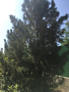 4C430FF8-8563-4253-93C7-C4119A68C033.jpeg