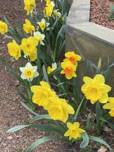 4F996D62-5E6C-410C-BE20-AA6CC6AD561A.jpeg