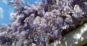 IMG_20210415_173727_680.jpg
