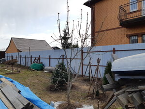 20210417_123529.jpg