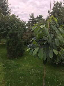 73E46902-B05F-4254-B96B-17958371E2EC.jpeg