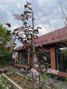 A817431A-5FFF-40C2-9C03-E27058DE6E96.jpeg