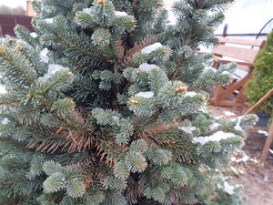20210421_100302.jpg