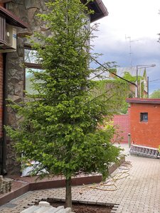 095022B0-AF51-44B7-AB1D-016C171F8889.jpeg