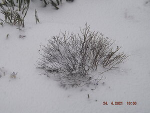 DSCF0706.JPG