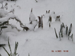 DSCF0708.JPG