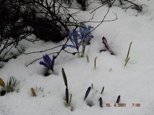 DSCF0709.JPG