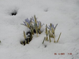 DSCF0710.JPG