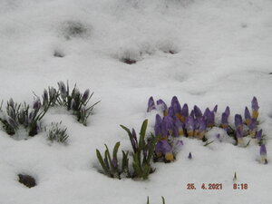 DSCF0717.JPG
