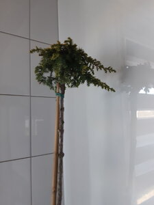 20210426_084045.jpg