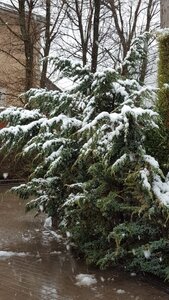 446661E0-A194-4752-935C-D034036C6843.jpeg