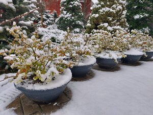 4A96B48C-8899-4E59-8C4A-F95228855A05.jpeg