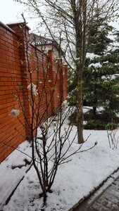 B2E8798E-1D74-4735-B006-E2AC94452C48.jpeg