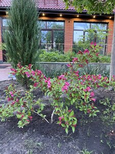 70846D58-47CC-4FE5-B10D-038298021E28.jpeg
