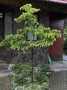 5CB9CAF0-3E2D-485E-BA77-93D9F10674C5.jpeg
