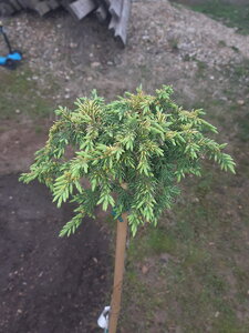 20210430_171855.jpg
