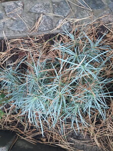 20201013_080736.jpg