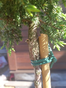 20210501_100603.jpg