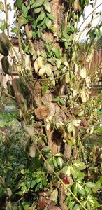 received_280573180453517.jpeg