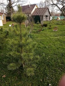 IMG_20210503_161338.jpg