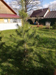 IMG_20210503_161358.jpg