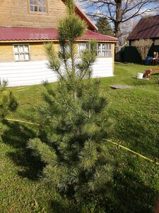 IMG_20210503_161407.jpg