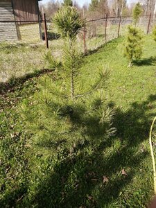 IMG_20210503_161422.jpg
