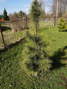 IMG_20210503_161433.jpg