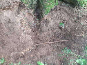20200728_130611.jpg