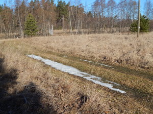 DSCN4382.JPG