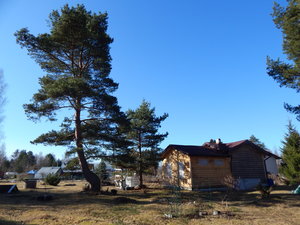 DSCN4377.JPG