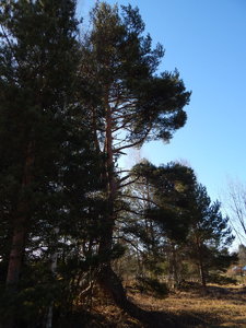 DSCN4380.JPG