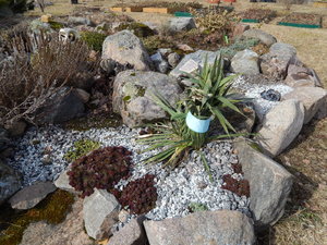 DSCN4344.JPG