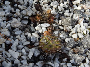 DSCN4345.JPG