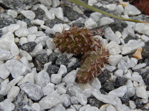 DSCN4346.JPG