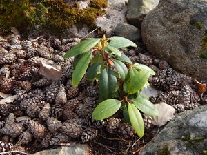 DSCN4370.JPG
