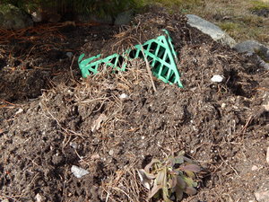 DSCN4366.JPG