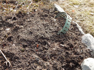 DSCN4367.JPG