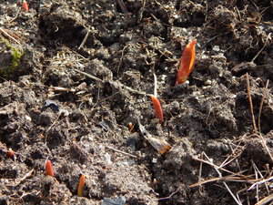 DSCN4368.JPG