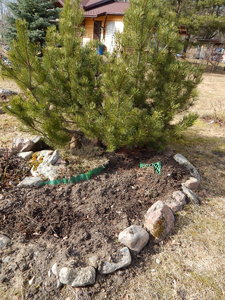 DSCN4364.JPG