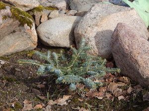 DSCN4354.JPG