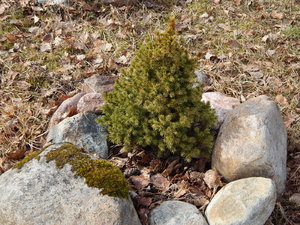 DSCN4358.JPG