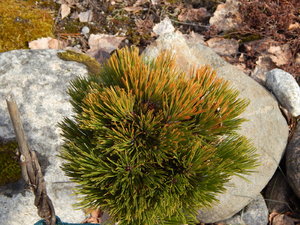 DSCN4362.JPG