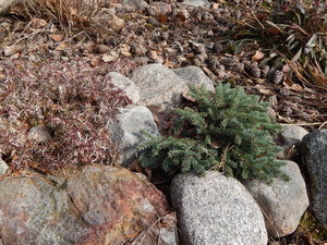 DSCN4363.JPG