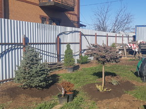 20210510_073853.jpg