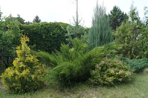 DSC07012.JPG