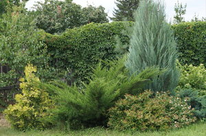 DSC07559.JPG