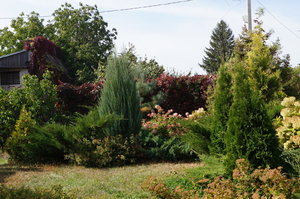 DSC08235.JPG