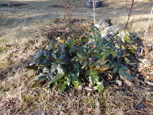 DSCN4384.JPG