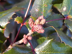 DSCN4385.JPG
